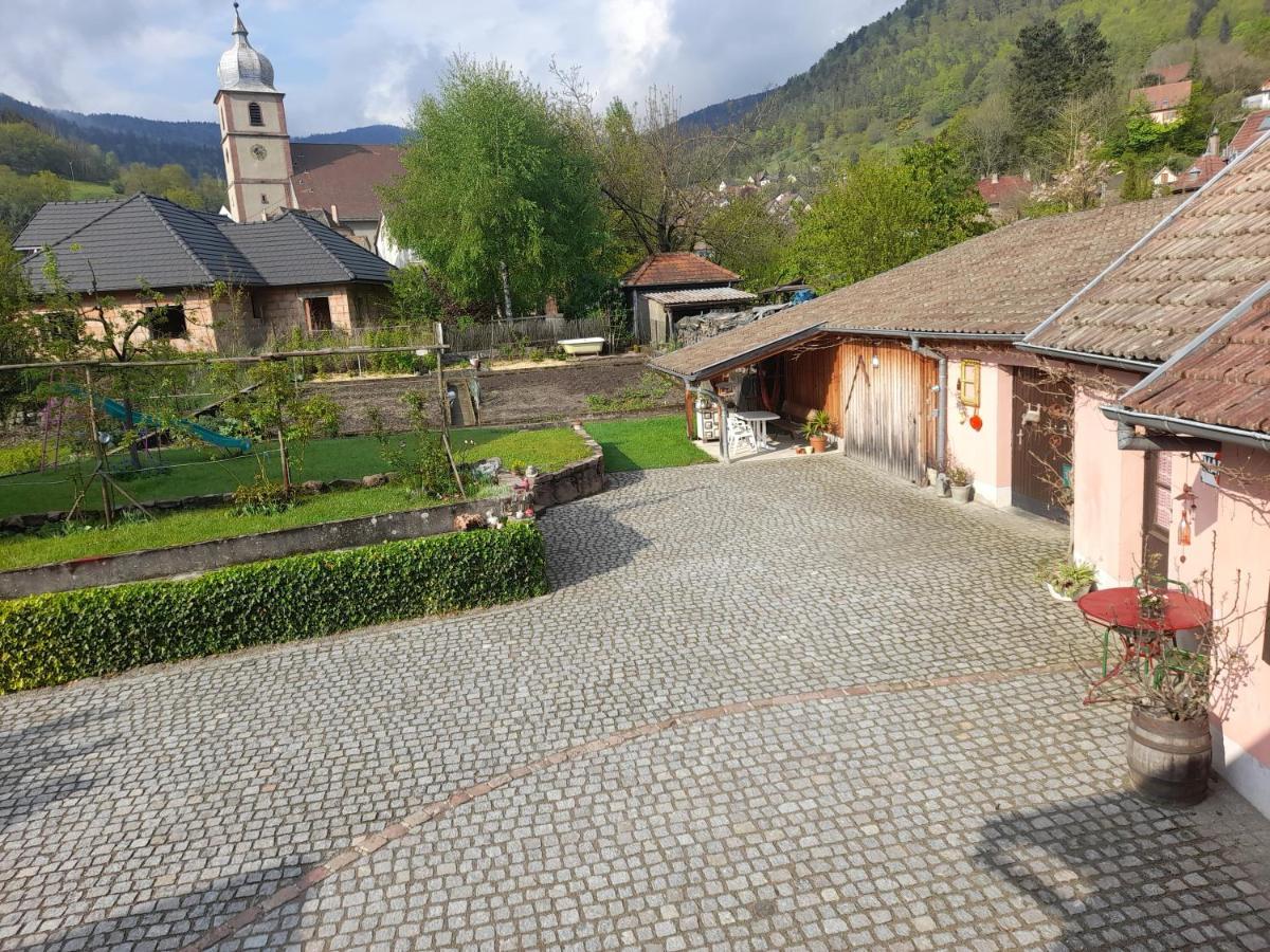 Charmant Petit Appartement Avec Bel Exterieur. Saint-Amarin Dış mekan fotoğraf