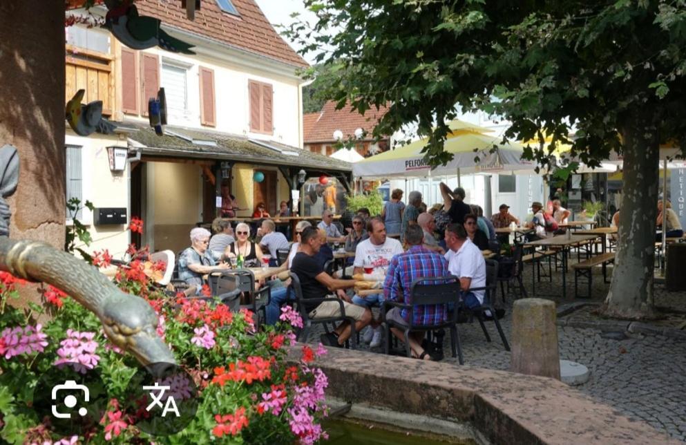 Charmant Petit Appartement Avec Bel Exterieur. Saint-Amarin Oda fotoğraf